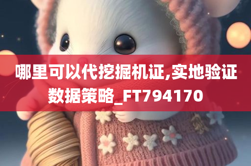 哪里可以代挖掘机证,实地验证数据策略_FT794170