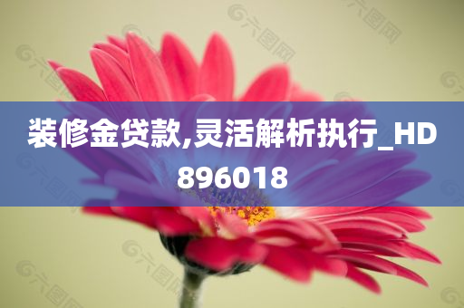 装修金贷款,灵活解析执行_HD896018