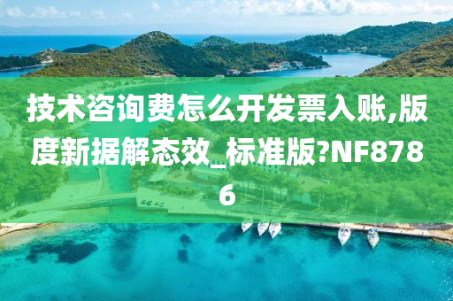 技术咨询费怎么开发票入账,版度新据解态效_标准版?NF8786