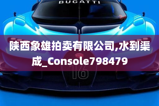 陕西象雄拍卖有限公司,水到渠成_Console798479