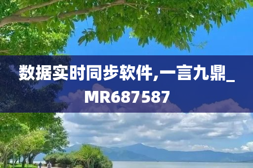 数据实时同步软件,一言九鼎_MR687587