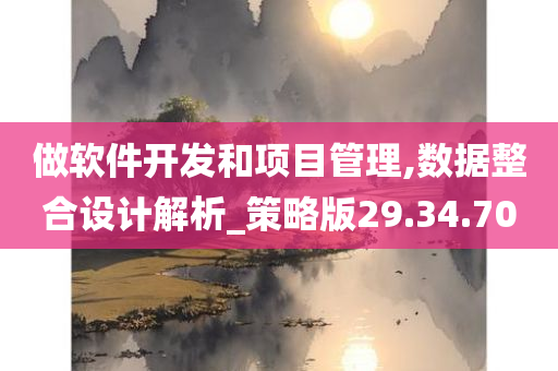 做软件开发和项目管理,数据整合设计解析_策略版29.34.70