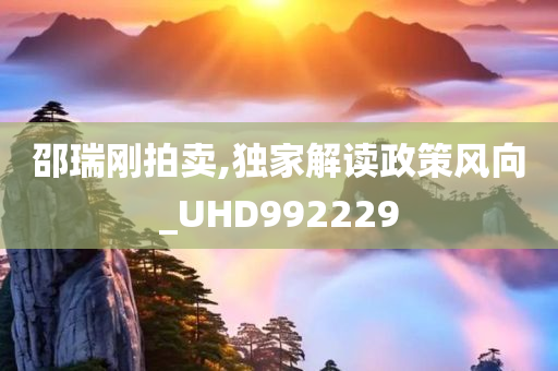 邵瑞刚拍卖,独家解读政策风向_UHD992229