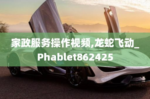 家政服务操作视频,龙蛇飞动_Phablet862425