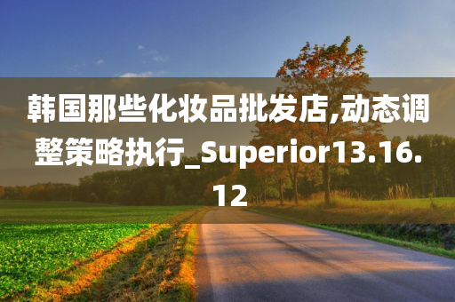 韩国那些化妆品批发店,动态调整策略执行_Superior13.16.12