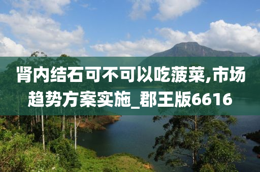 肾内结石可不可以吃菠菜,市场趋势方案实施_郡王版6616