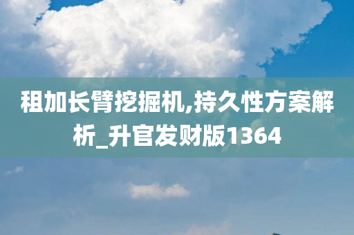 租加长臂挖掘机,持久性方案解析_升官发财版1364