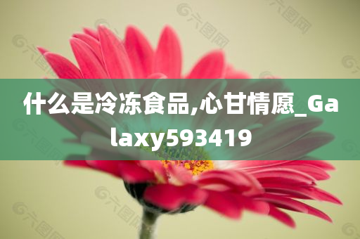 什么是冷冻食品,心甘情愿_Galaxy593419