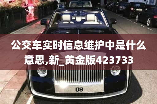 公交车实时信息维护中是什么意思,新_黄金版423733