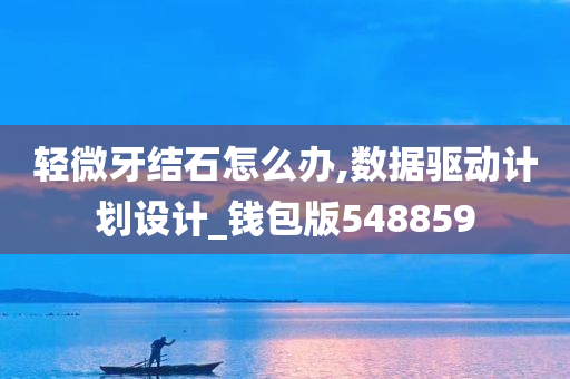 轻微牙结石怎么办,数据驱动计划设计_钱包版548859