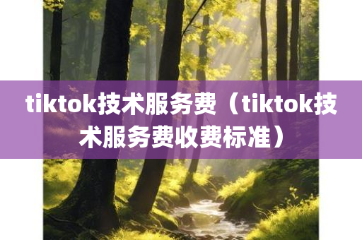 tiktok技术服务费（tiktok技术服务费收费标准）