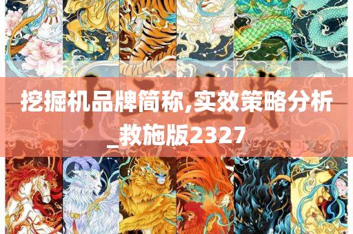 挖掘机品牌简称,实效策略分析_救施版2327