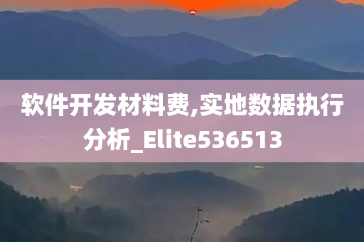 软件开发材料费,实地数据执行分析_Elite536513