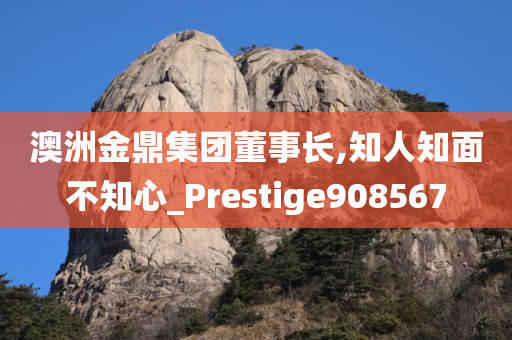 澳洲金鼎集团董事长,知人知面不知心_Prestige908567