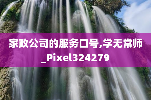 家政公司的服务口号,学无常师_Pixel324279