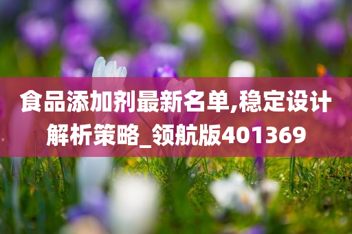 食品添加剂最新名单,稳定设计解析策略_领航版401369