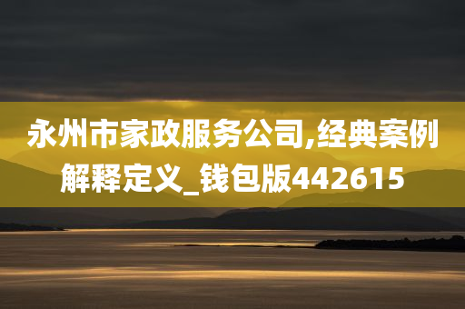 永州市家政服务公司,经典案例解释定义_钱包版442615