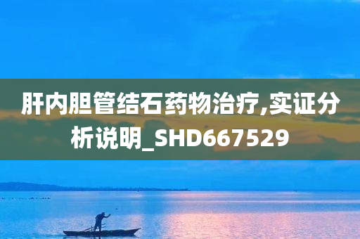 肝内胆管结石药物治疗,实证分析说明_SHD667529