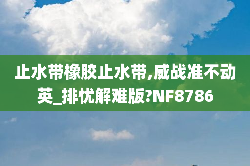 止水带橡胶止水带,威战准不动英_排忧解难版?NF8786