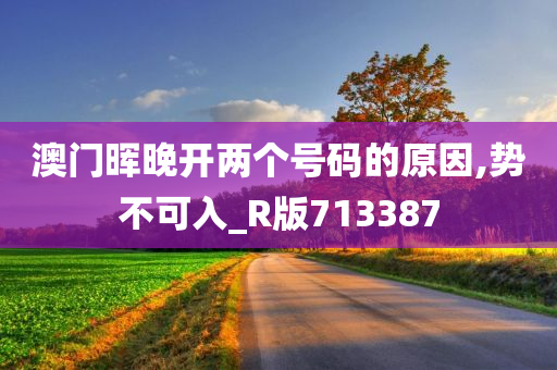 澳门晖晚开两个号码的原因,势不可入_R版713387