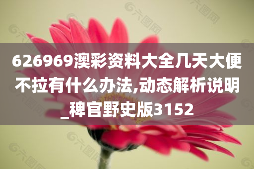 626969澳彩资料大全几天大便不拉有什么办法,动态解析说明_稗官野史版3152