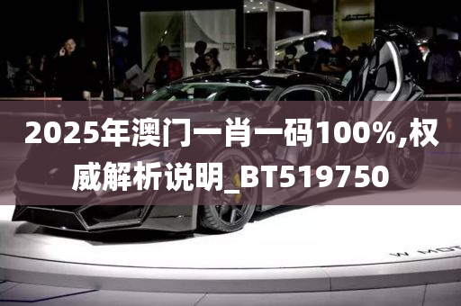 2025年澳门一肖一码100%,权威解析说明_BT519750