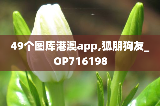 49个图库港澳app,狐朋狗友_OP716198