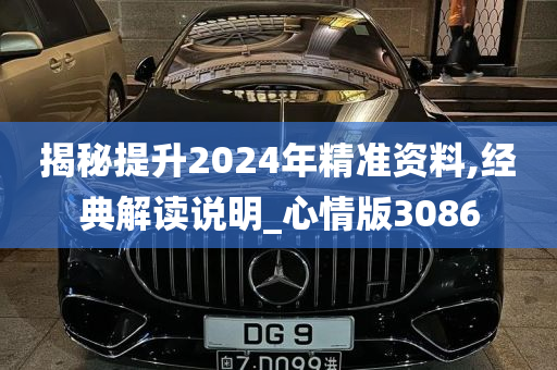 揭秘提升2024年精准资料,经典解读说明_心情版3086