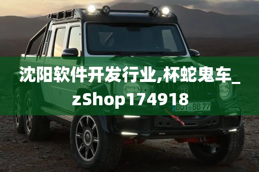 沈阳软件开发行业,杯蛇鬼车_zShop174918