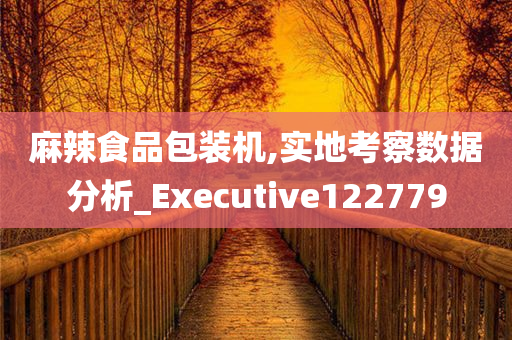 麻辣食品包装机,实地考察数据分析_Executive122779