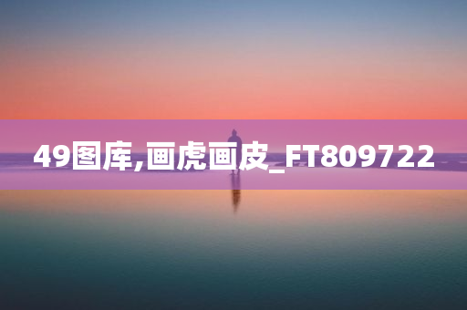 49图库,画虎画皮_FT809722