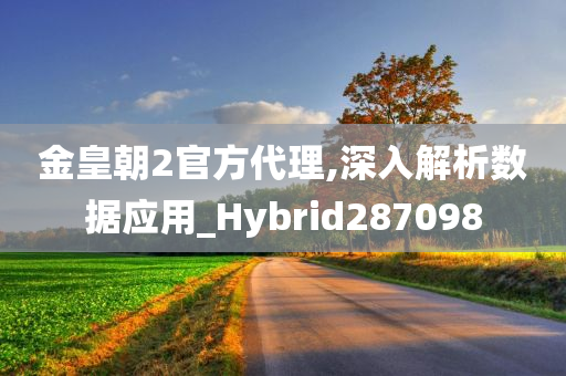 金皇朝2官方代理,深入解析数据应用_Hybrid287098