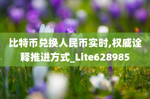 比特币兑换人民币实时,权威诠释推进方式_Lite628985