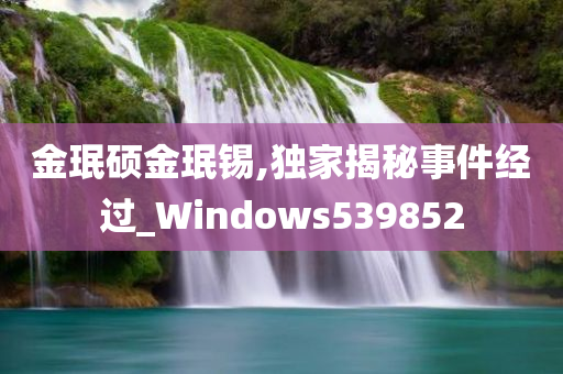 金珉硕金珉锡,独家揭秘事件经过_Windows539852