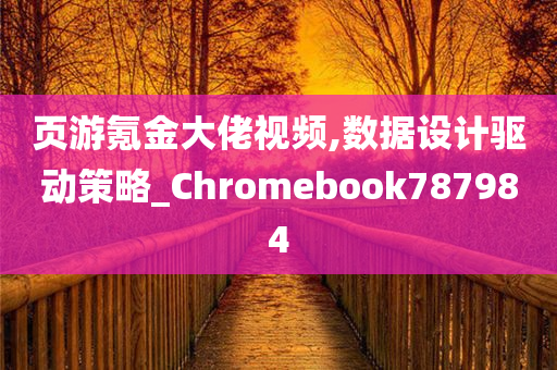 页游氪金大佬视频,数据设计驱动策略_Chromebook787984