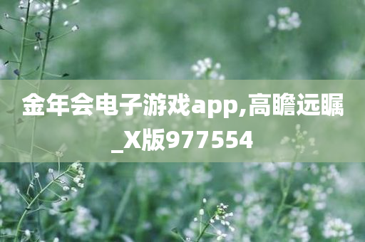 金年会电子游戏app,高瞻远瞩_X版977554