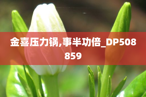 金喜压力锅,事半功倍_DP508859