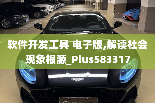 软件开发工具 电子版,解读社会现象根源_Plus583317