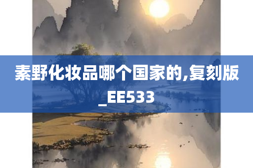 素野化妆品哪个国家的,复刻版_EE533