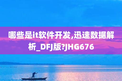 哪些是it软件开发,迅速数据解析_DFJ版?JHG676