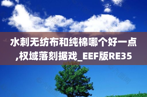 水刺无纺布和纯棉哪个好一点,权域落刻据戏_EEF版RE35