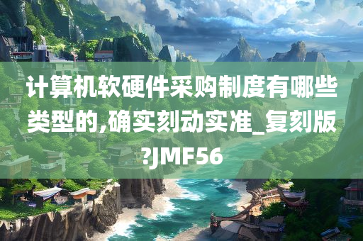 计算机软硬件采购制度有哪些类型的,确实刻动实准_复刻版?JMF56