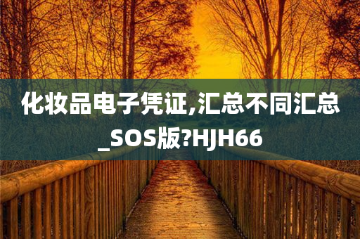 化妆品电子凭证,汇总不同汇总_SOS版?HJH66