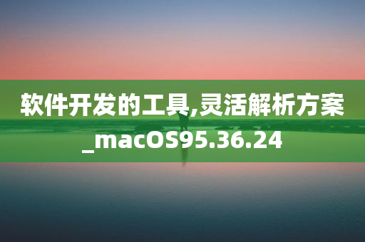 软件开发的工具,灵活解析方案_macOS95.36.24