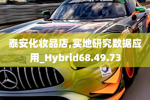 泰安化妆品店,实地研究数据应用_Hybrid68.49.73