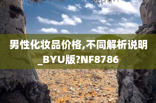 男性化妆品价格,不同解析说明_BYU版?NF8786