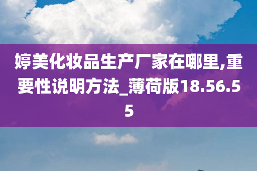 婷美化妆品生产厂家在哪里,重要性说明方法_薄荷版18.56.55