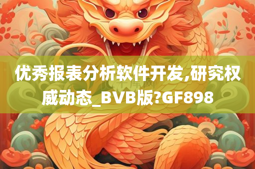 优秀报表分析软件开发,研究权威动态_BVB版?GF898