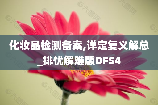 化妆品检测备案,详定复义解总_排忧解难版DFS4