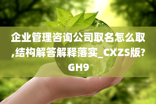 企业管理咨询公司取名怎么取,结构解答解释落实_CXZS版?GH9